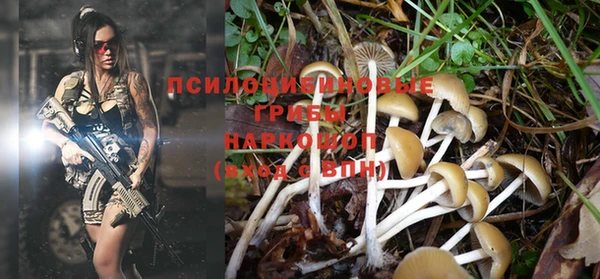 эйфоретик Баксан