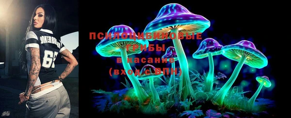 эйфоретик Баксан