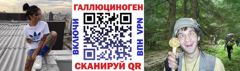 Псилоцибиновые грибы прущие грибы купить наркоту гидра ссылка Баксан